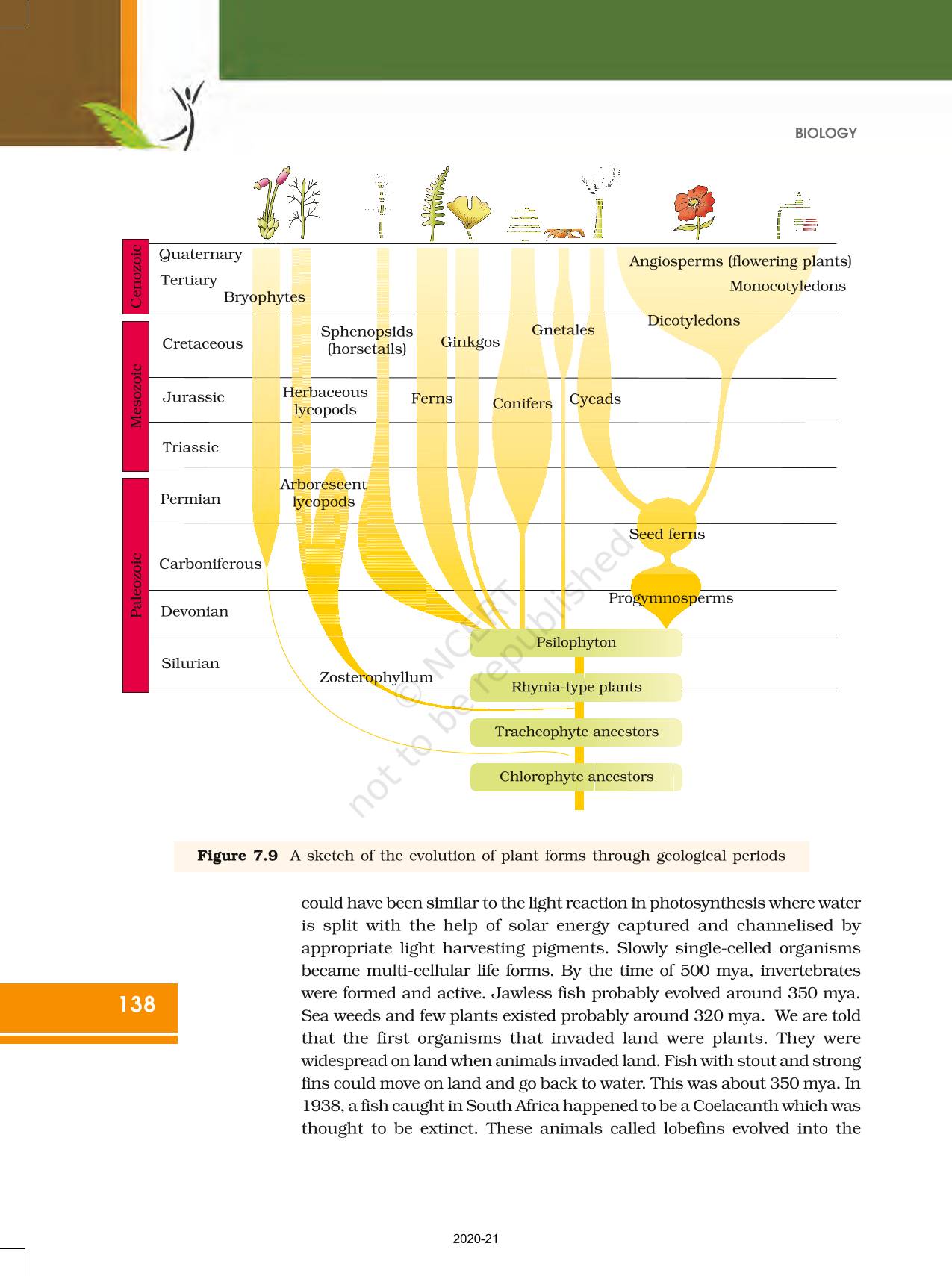 Evolution - NCERT Book Of Class 12 Biology